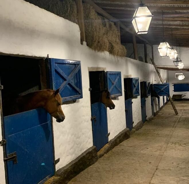 Caballeriza en Aragua