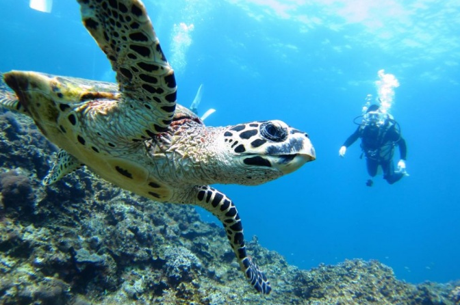los-mejores-tours-en-la-isla-de-margarita